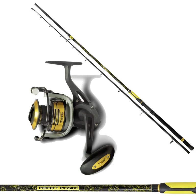 Solde Combo Spinning Perfect Passion XH-S 600gr + Black Passion FD Black Cat
