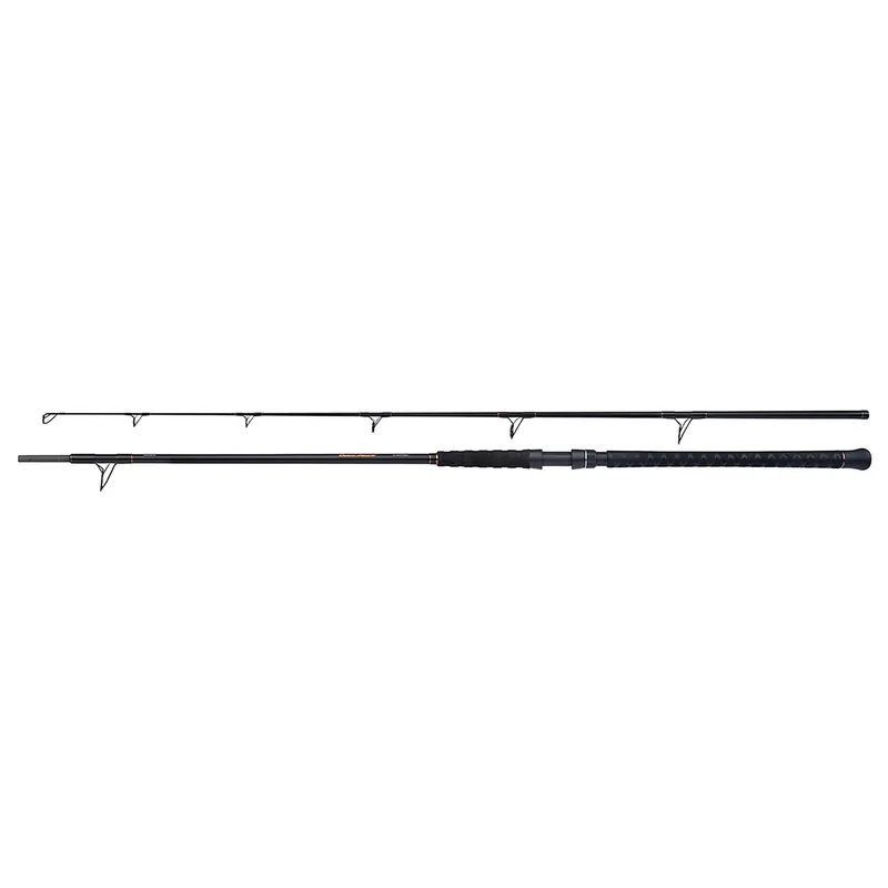 Canne Beastmaster Catfish Static 2,80m 350gr Shimano Réduction