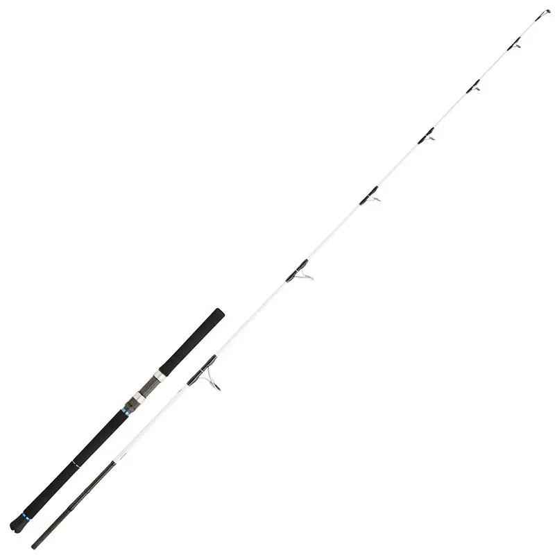 Canne Spinning Saltist 2,59m 50-130gr Daiwa Nouvelle Collection