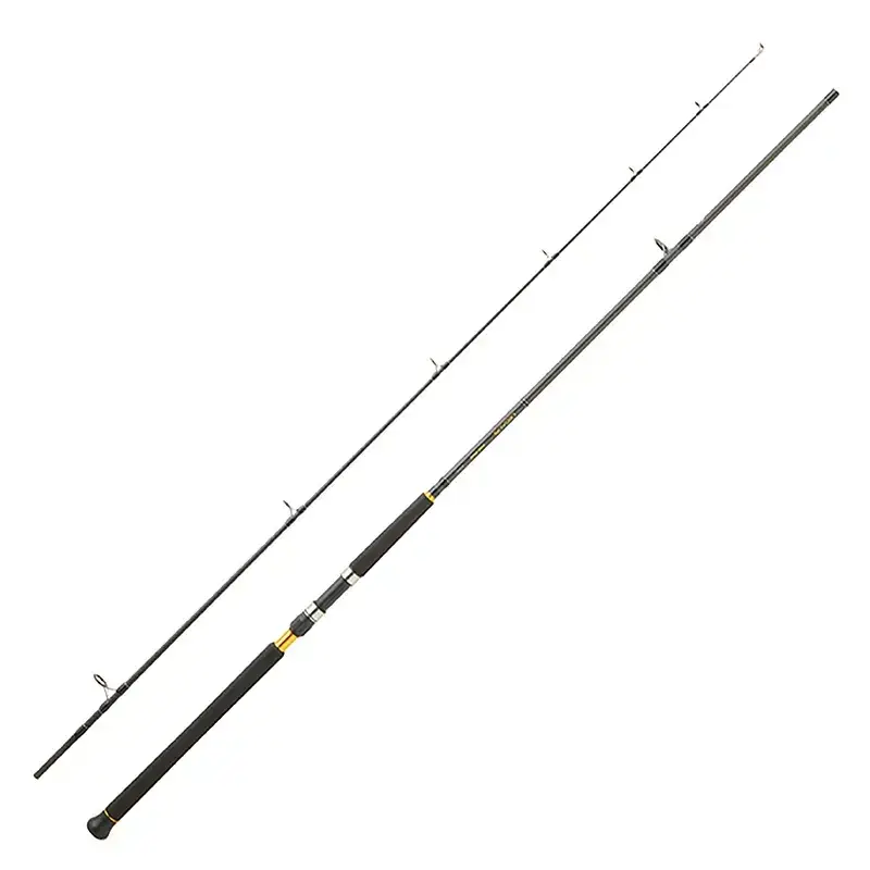 Canne spinning DAIWA Legalis shore jigging 2025 Marque