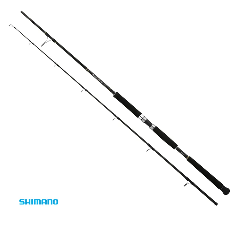 Commander Vite Canne Beastmaster Pilk 2,40m 100-200gr Shimano