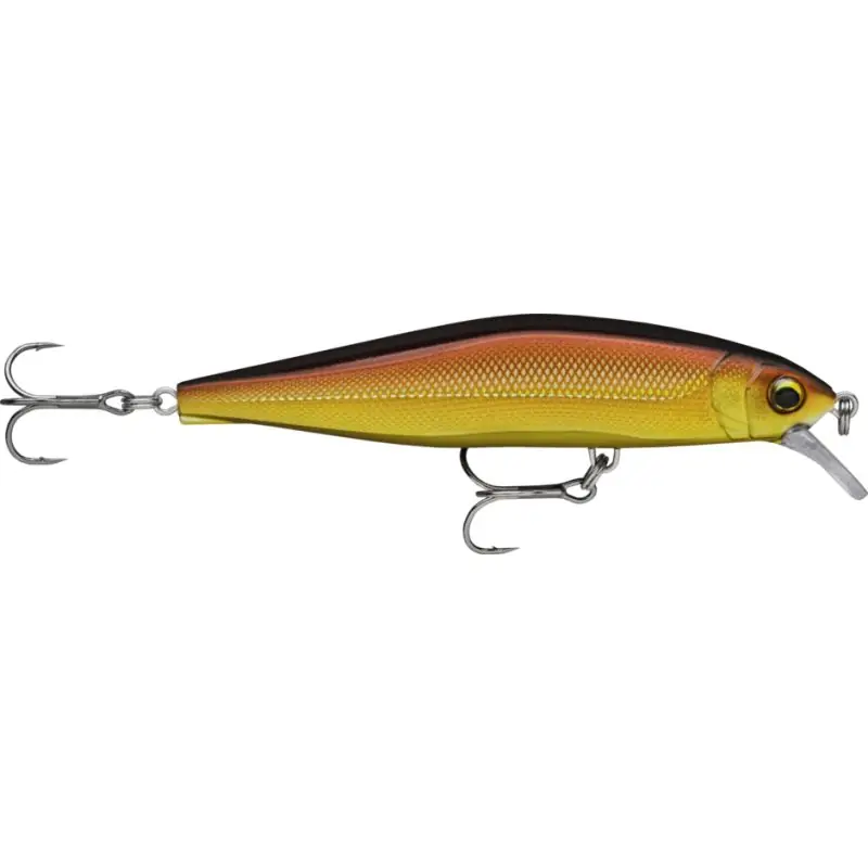 Poisson nageur RAPALA Precision xtreme air boss 100 Remise