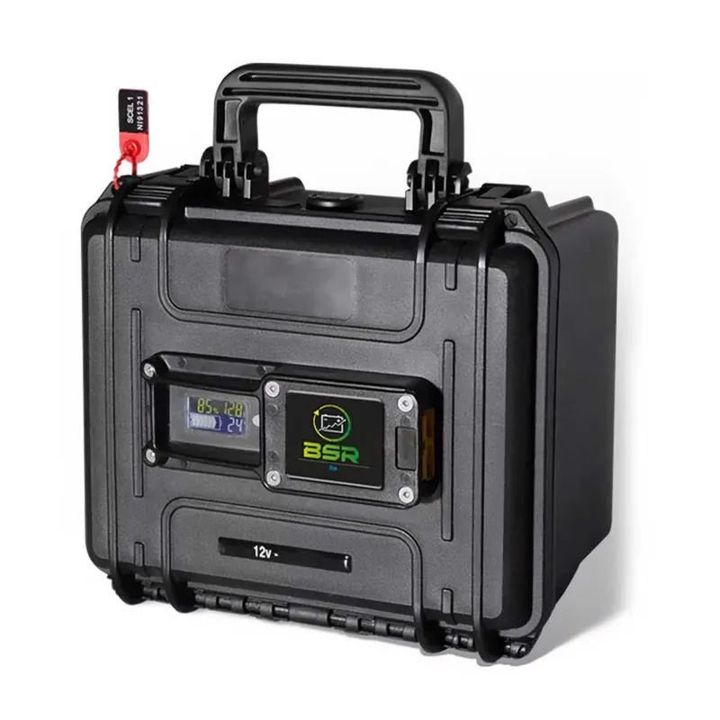 Affaire À Saisir Batterie Lithium ECO LiFePo4 Gen2 12V 50A 1 sortie BSR