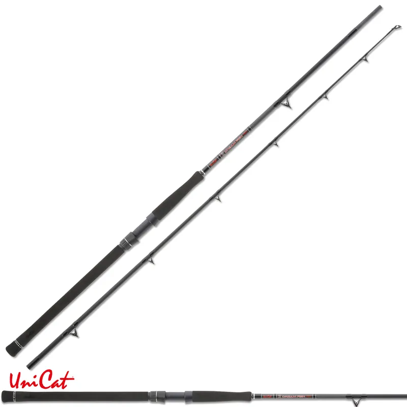 Canne Spinning Dream Fish Pro 2,70m 200-600gr Unicat Super Prix