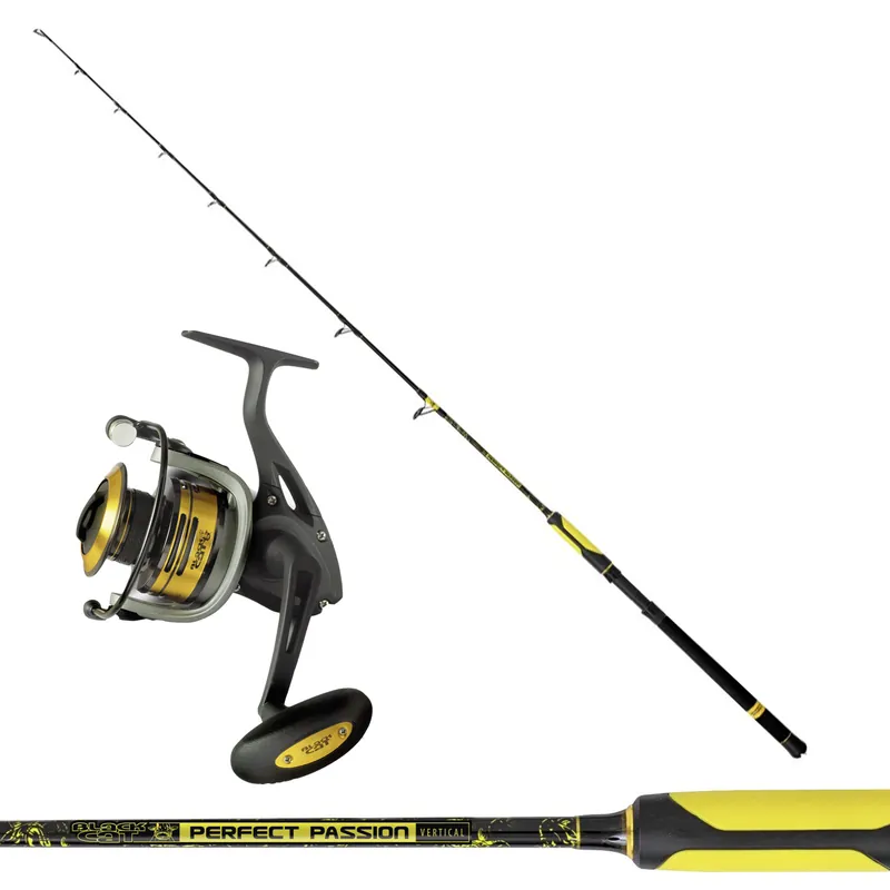 Ensemble Vertical Perfect Passion 1,80m 230gr + Passion Pro 640 FD Black Cat Prix Cassé
