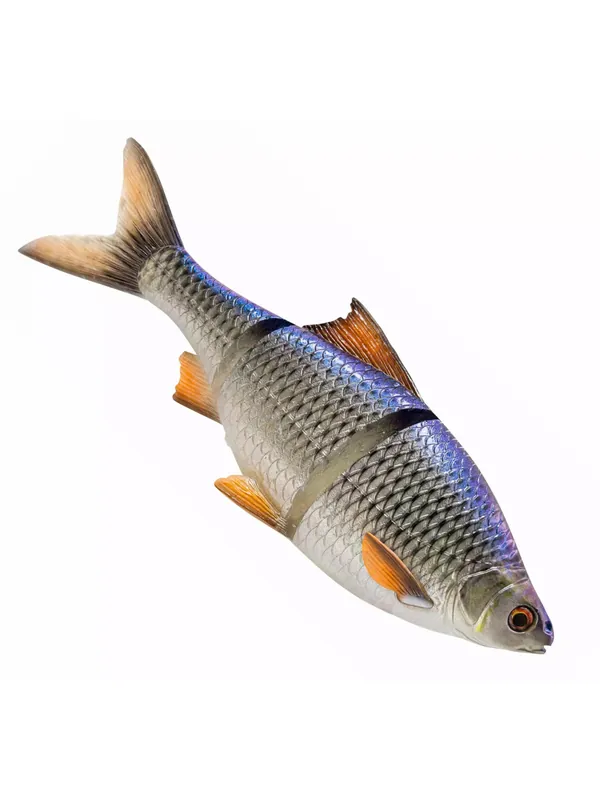 LEURRE SOUPLE SAVAGE GEAR 3D ROACH LINE THRU 25cm SS Achat Immédiat