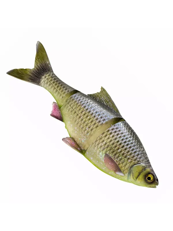 Offre Du Jour LEURRE SOUPLE SAVAGE GEAR 3D LINE THRU ROACH 32cm MS