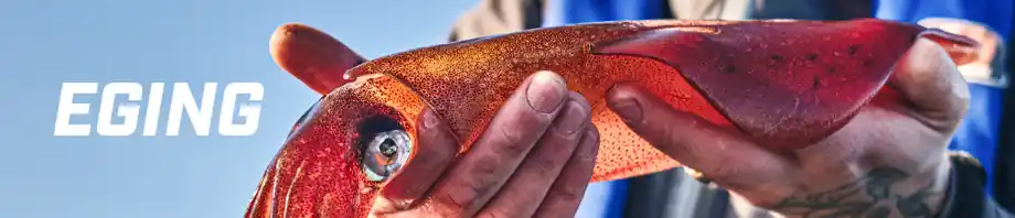 Egi – Turluttes pour la pêche des céphalopodes Must-Have