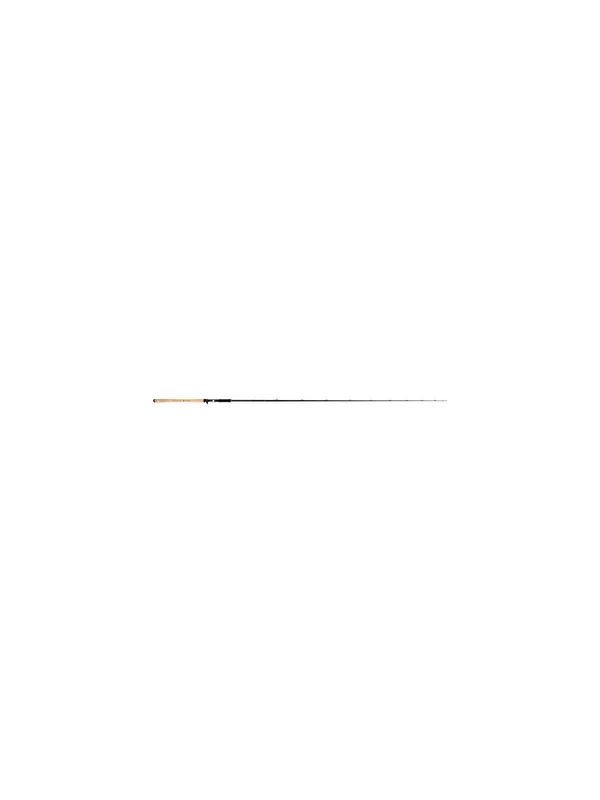CANNE CASTING NIGHT SHADOWS B 250 XXH THE WILD DOG Produit De Marque