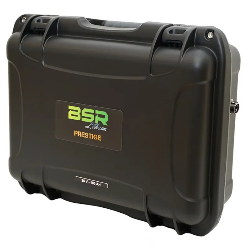 Batterie Lithium BSR Prestige 36100 36V 100A Populaire