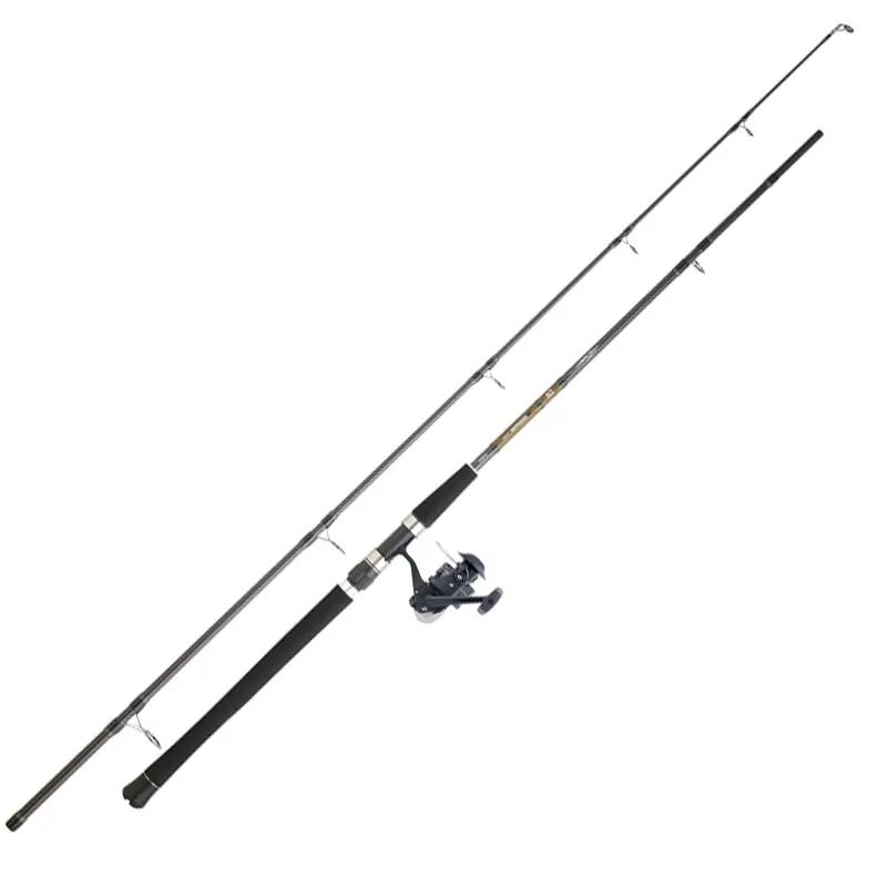 Offre Spéciale Ensemble spinning Daiwa Set Silure 06