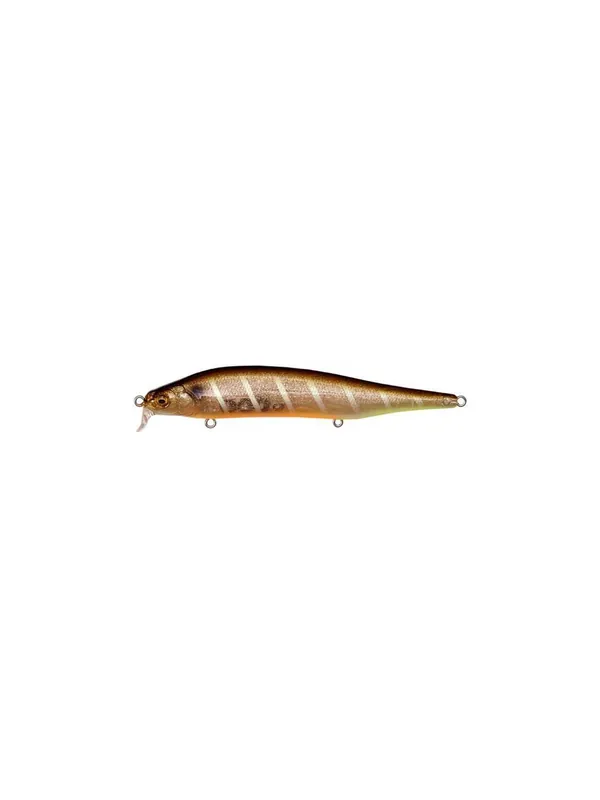 Réduction LEURRE MEGABASS ITO SHINER SSR