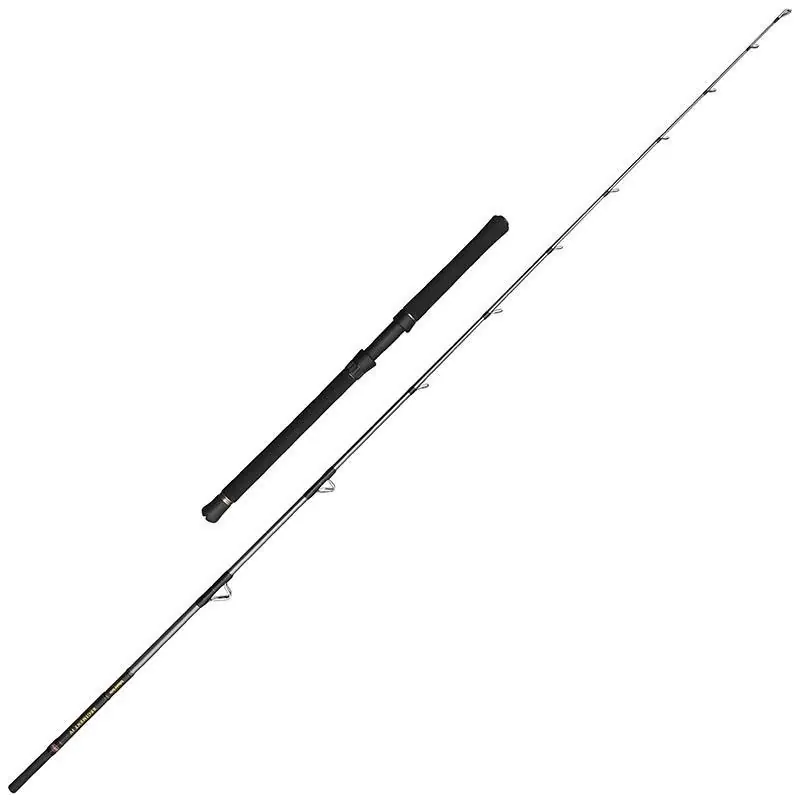 Dernière Chance Canne spinning Penn Regiment IV Halibuster Rod