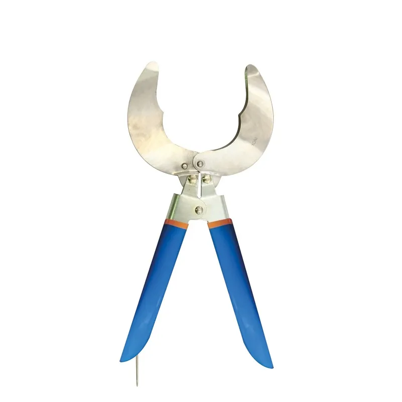 Pince à Oursin Flashmer Pro inox Prix Choc