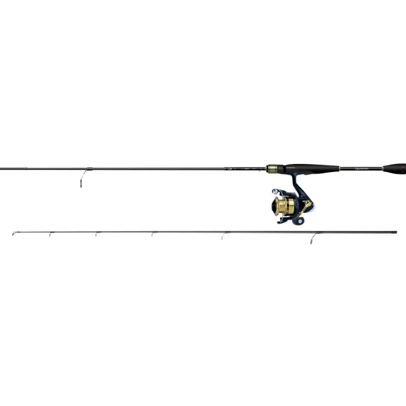 ENSEMBLE SPINNING RS 2.13M 14-42GRS DAIWA Pas Cher