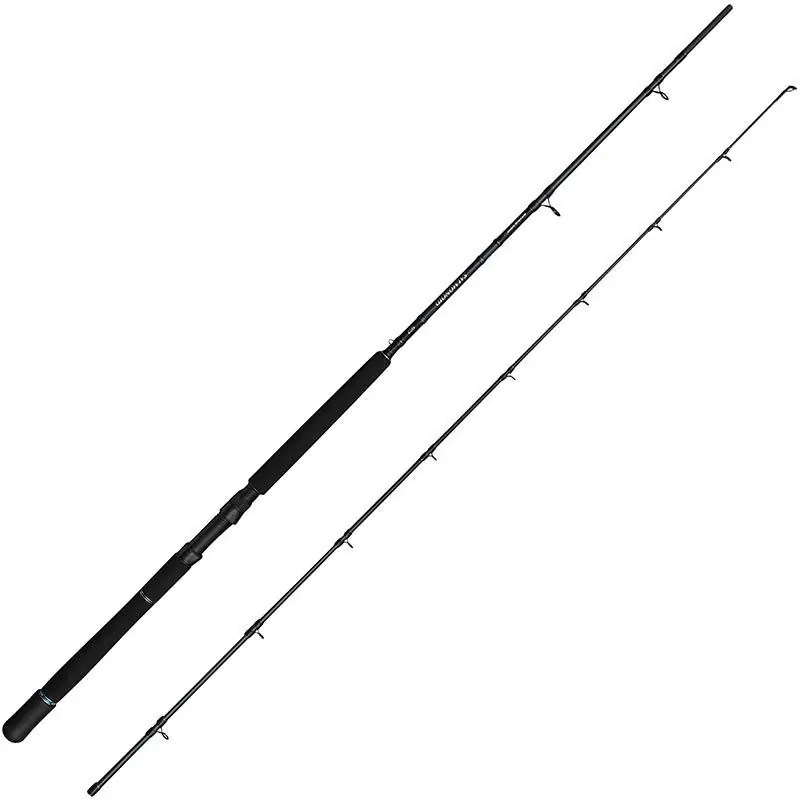 Must-Have Canne traine Savage Gear Salmonoid Sg2 Trolling
