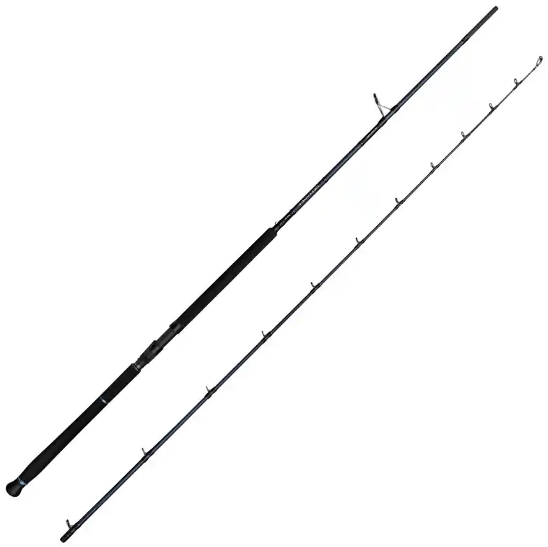 Petit Prix Canne spinning Savage Gear Defiance Sg2 Shore jigging