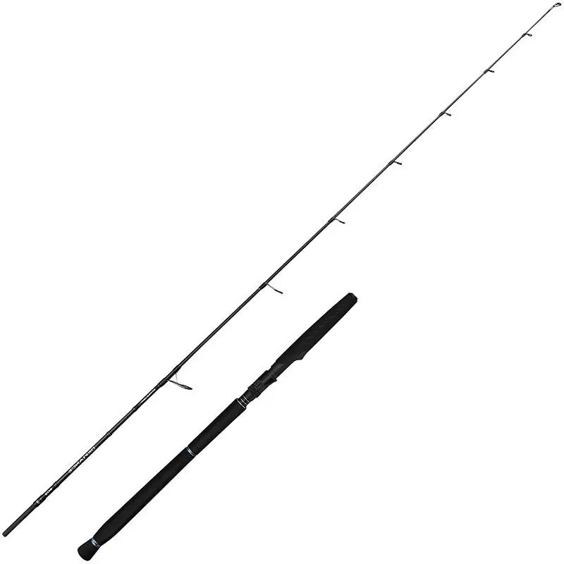 Prix Choc Canne spinning Savage Gear Defiance Sg2 Jigging