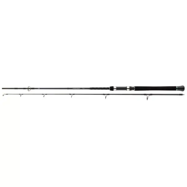 DAIWA Powermesh Catfish Spin, 2 elements, canne à pêche poisson-chat Prix Promo
