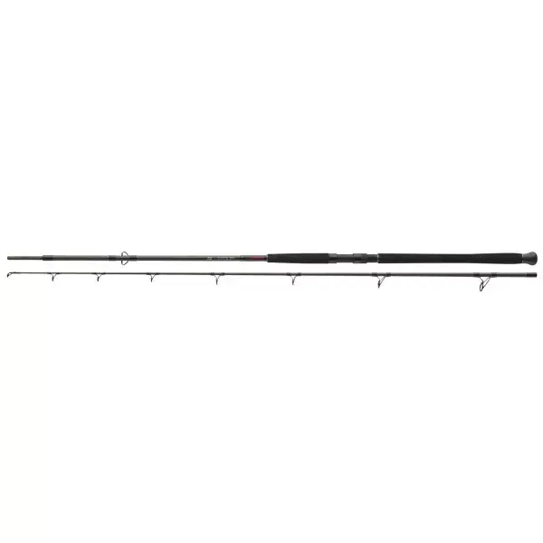 DAIWA Exceler Catfish Boje, 200-600g, 2 elements, Canne À Pêche Silure Pas Cher