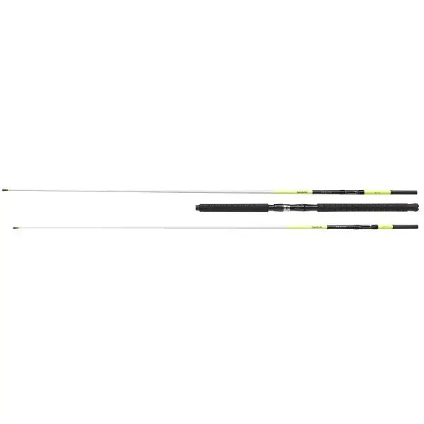 DAIWA Sealine XTreme Interline, 2 elements, Canne à Pêche en Bateau Acheter En Ligne