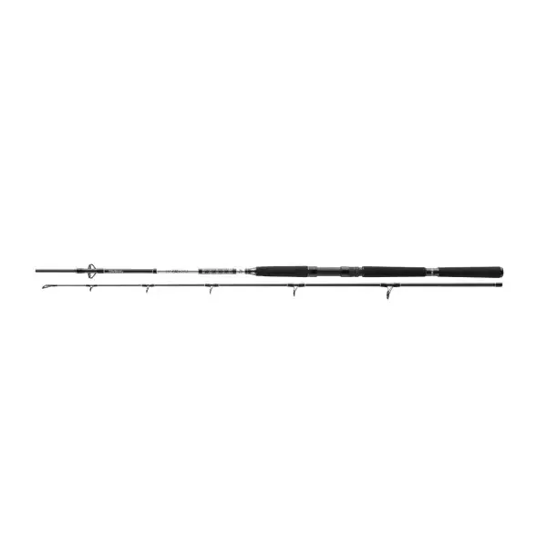 DAIWA BG Offshore Boat, Bateau Canne À Pêche Petit Prix