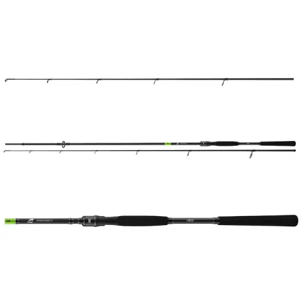 DAIWA Prorex X Spin, 2 elements, Canne À Pêche Spinning Nouvelle Collection