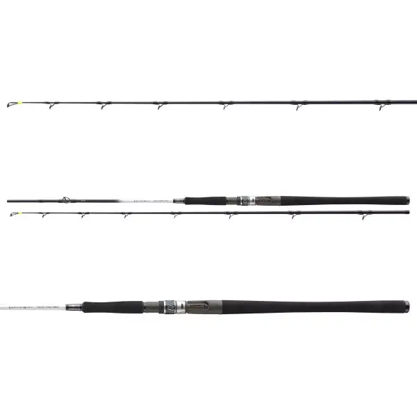 DAIWA GRANDWAVE, 2 elements, Canne À Pêche Pour Bateau, fast Action Offre Limitée
