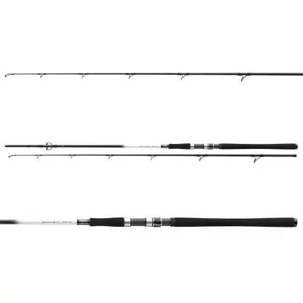 Vente Directe DAIWA GRANDWAVE, 2 elements, Canne À Pêche Au Brochet, extra fast / fast Action