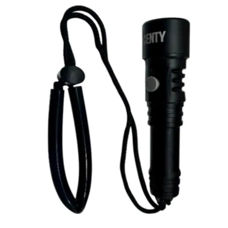 Lampe de plongée Denty Spearfishing Compacte 1300 Lumens Pas Cher