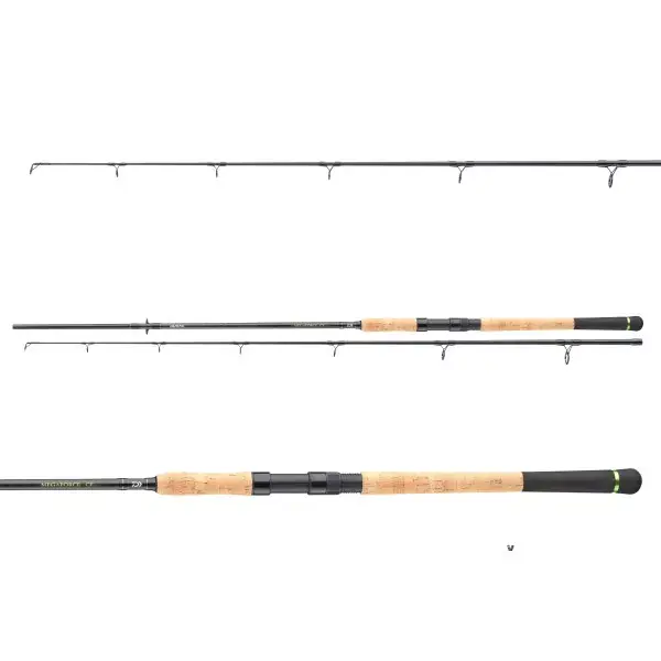 DAIWA Megaforce Catfish, 2 elements, Canne à pêche silure, medium fast Top Vente