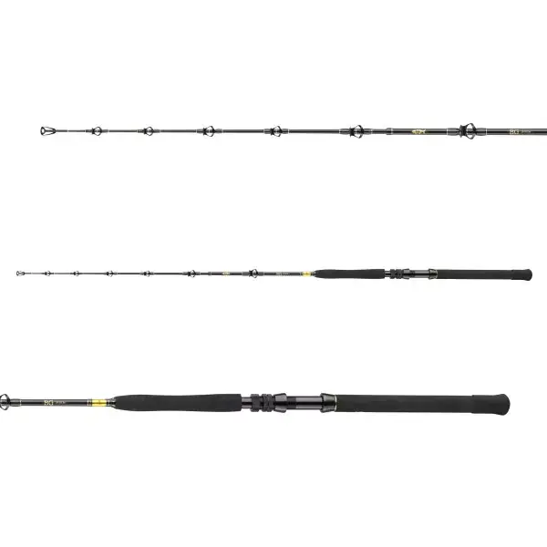 DAIWA BG Big Game, 3 elements, Canne à Pêche Bateau, progressif Affaire À Saisir