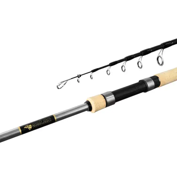 Promotion Saisonnière DELPHIN AZTEC tele, Canne à pêche spinning