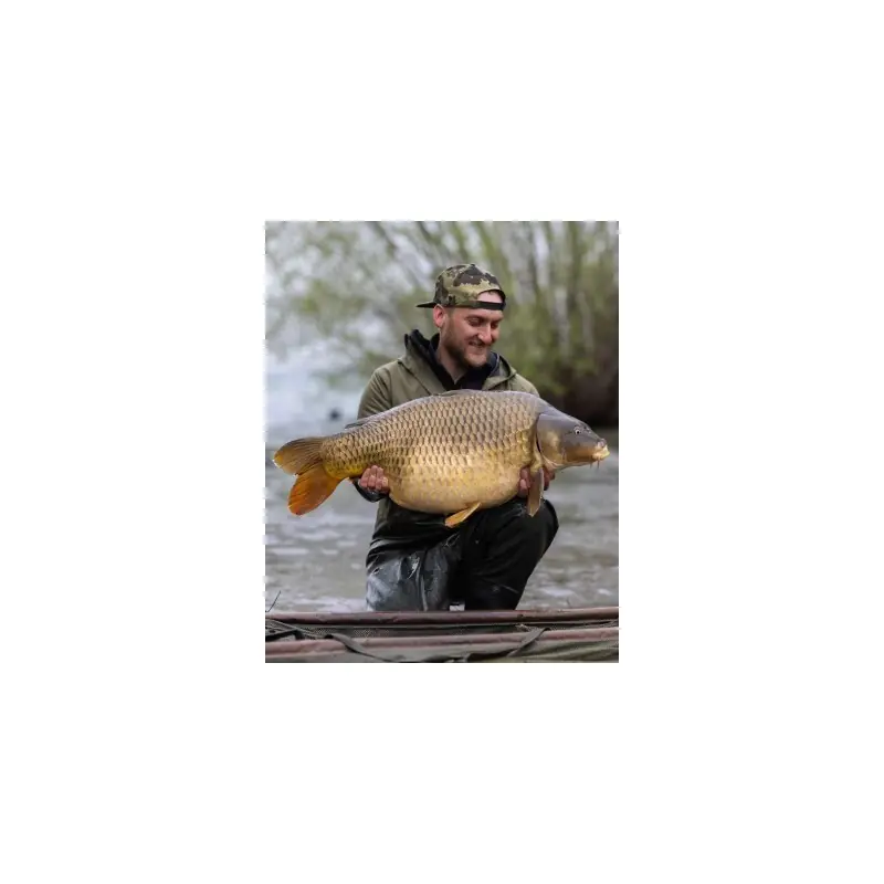 KORE SNAPBACK KORDA Vente Directe